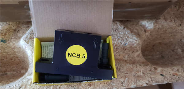NETTER钢球振动器NCB5